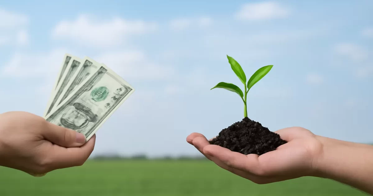 Ganar dinero rápido vs crear ingresos sostenibles